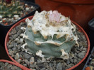 DSCF0150