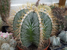 DSCF0151