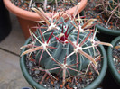 DSCF0160