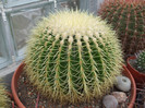 DSCF0161