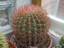 DSCF0162