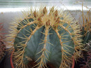 DSCF0164