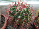 DSCF0165