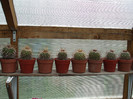 DSCF0166