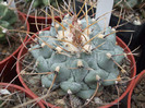 DSCF0167