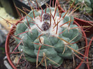 DSCF0170