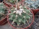 DSCF0171