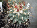 DSCF0173