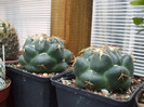 DSCF0189