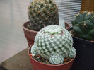 DSCF0190