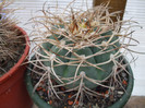 DSCF0192
