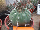 DSCF0195