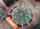 DSCF0196