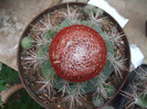 DSCF0197