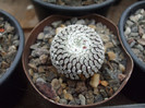 DSCF0199
