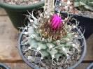 DSCF0202