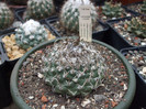 DSCF0204