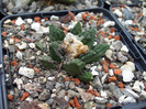 DSCF0215