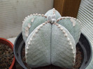 DSCF0217
