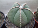 DSCF0218
