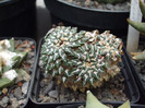 DSCF0219