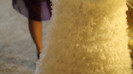 Demi Lovato - Tiffany Thornton and Chris Wedding 1596