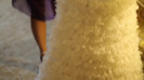 Demi Lovato - Tiffany Thornton and Chris Wedding 1598