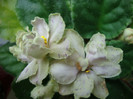 DSC04995