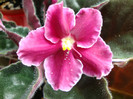 DSC05000