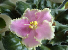DSC05001