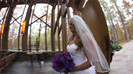 Demi Lovato - Tiffany Thornton and Chris Wedding 2371