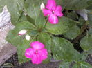 P09-05-12_14.12