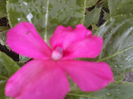 P09-05-12_14.12[1]