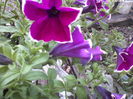 P09-05-12_14.13[4]