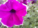 P09-05-12_14.13[5]