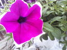 P09-05-12_14.13[6]