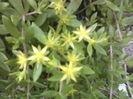 P09-05-12_14.17[1]