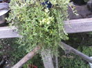 P09-05-12_14.18[2]