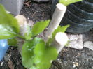 P09-05-12_14.20[1]