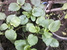 P09-05-12_14.20[2]