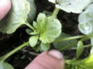 P09-05-12_14.20[3]