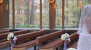 Demi Lovato - Tiffany Thornton and Chris Wedding 2519