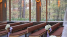 Demi Lovato - Tiffany Thornton and Chris Wedding 2528