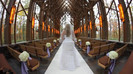 Demi Lovato - Tiffany Thornton and Chris Wedding 2611