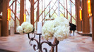 Demi Lovato - Tiffany Thornton and Chris Wedding 2961