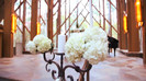Demi Lovato - Tiffany Thornton and Chris Wedding 2962