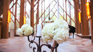 Demi Lovato - Tiffany Thornton and Chris Wedding 2968