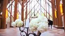 Demi Lovato - Tiffany Thornton and Chris Wedding 2981