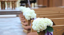 Demi Lovato - Tiffany Thornton and Chris Wedding 2983
