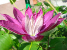 DSC08533